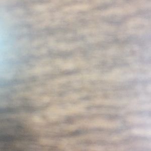 Meet your Posher, Terrell